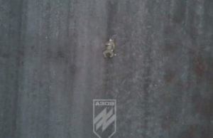 Бійці бригади “Азов” скидами з дронів зупиняють спроби штурму ворога поблизу Тернів. ВIДЕО Бійці-бригади-“Азов”-скидами-з-дронів-зупиняють-спроби-штурму-ворога-поблизу-Тернів.-ВiДЕО