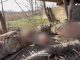 Прикордонники взяли у полон трьох окупантів на Донеччині. ВIДЕО Прикордонники-взяли-у-полон-трьох-окупантів-на-Донеччині.-ВiДЕО