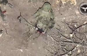 Лишився без обох ніг: дрон-камікадзе ліквідував окупанта на Авдіївському напрямку. ВIДЕО 18+ Лишився-без-обох-ніг:-дрон-камікадзе-ліквідував-окупанта-на-Авдіївському-напрямку.-ВiДЕО-18+