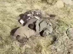 Тіло окупанта валяється пів року на полі: “Этого жмурика никто не искал, по пояс ноги... Тіло-окупанта-валяється-пів-року-на-полі:-“Этого-жмурика-никто-не-искал,-по-пояс-ноги.