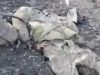 Тіло ліквідованого окупанта розплющилося на дорозі: “Ешкин кот! Танком раздавило”. ВIДЕО 18+ Тіло-ліквідованого-окупанта-розплющилося-на-дорозі:-“Ешкин-кот!-Танком-раздавило”.-ВiДЕО-18+