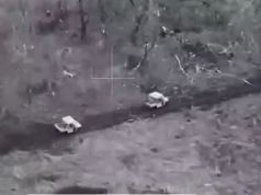 Оператори дронів підрозділу “Бродяги” ліквідували групу окупантів на двох гольфкарах. ВIДЕО Оператори-дронів-підрозділу-“Бродяги”-ліквідували-групу-окупантів-на-двох-гольфкарах.-ВiДЕО