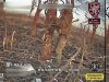 Дрон-камікадзе атакує окупанта прямо у пах. ВIДЕО Дрон-камікадзе-атакує-окупанта-прямо-у-пах.-ВiДЕО