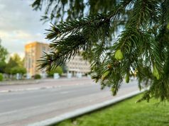 30 квітня – позачергова сесія Нововолинської міської ради 30-квітня-–-позачергова-сесія-Нововолинської-міської-ради