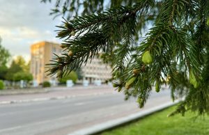 30 квітня – позачергова сесія Нововолинської міської ради 30-квітня-–-позачергова-сесія-Нововолинської-міської-ради