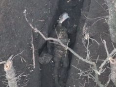 Український кіт харчується трупом російського військовослужбовця. ВIДЕО 18+ Український-кіт-харчується-трупом-російського-військовослужбовця.-ВiДЕО-18+