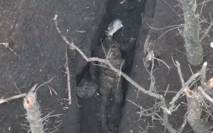 Український кіт харчується трупом російського військовослужбовця. ВIДЕО 18+ Український-кіт-харчується-трупом-російського-військовослужбовця.-ВiДЕО-18+