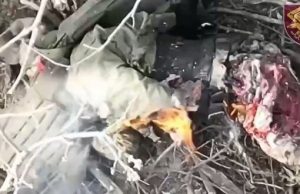 Окупант з порваним задом догорає у кущах після скиду з українського дрона. ВIДЕО 18+ Окупант-з-порваним-задом-догорає-у-кущах-після-скиду-з-українського-дрона.-ВiДЕО-18+