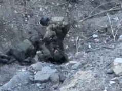 Уцілілий окупант забрав зброю та рацію у своїх поранених поплічників і втік. ВIДЕО Уцілілий-окупант-забрав-зброю-та-рацію-у-своїх-поранених-поплічників-і-втік.-ВiДЕО