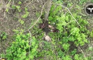 Тіло окупанта розлітається на шматки від удару дрона бійців 47 ОМБр. ВIДЕО 18+ Тіло-окупанта-розлітається-на-шматки-від-удару-дрона-бійців-47-ОМБр.-ВiДЕО-18+