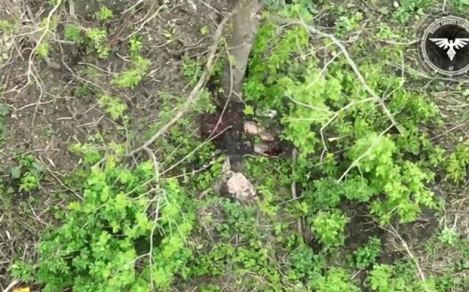 Тіло окупанта розлітається на шматки від удару дрона бійців 47 ОМБр. ВIДЕО 18+ Тіло-окупанта-розлітається-на-шматки-від-удару-дрона-бійців-47-ОМБр.-ВiДЕО-18+