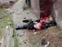 Собака їсть рештки російського загарбника на Херсонщині. ВIДЕО 18+ Собака-їсть-рештки-російського-загарбника-на-Херсонщині.-ВiДЕО-18+