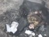 Бійці 28 ОМБр у районі Курдюмівки ліквідували 28 окупантів, ще 58 – поранили. ВIДЕО Бійці-28-ОМБр-у-районі-Курдюмівки-ліквідували-28-окупантів,-ще-58-–-поранили.-ВiДЕО