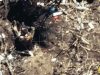 Поранений окупант вставляє дуло автомата до рота та скоює самогубство. ВIДЕО Поранений-окупант-вставляє-дуло-автомата-до-рота-та-скоює-самогубство.-ВiДЕО