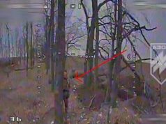 Російські піхотинці ховаються за деревами від ударних дронів на Кремінському напрямку. ВIДЕО Російські-піхотинці-ховаються-за-деревами-від-ударних-дронів-на-Кремінському-напрямку.-ВiДЕО