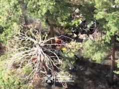 Прикордонники знищили польовий склад БК та вразили позицію ворожих мінометників. ВIДЕО Прикордонники-знищили-польовий-склад-БК-та-вразили-позицію-ворожих-мінометників.-ВiДЕО