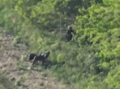 Скид з дрона 110-ї ОМБр зіпсував відпочинок на сонці двом окупантам. ВIДЕО Скид-з-дрона-110-ї-ОМБр-зіпсував-відпочинок-на-сонці-двом-окупантам.-ВiДЕО