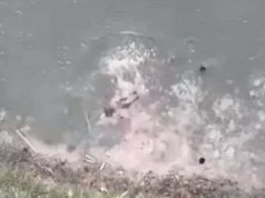 Окупанти відпрацьовують стрибки у воду під керівництвом вправних тренерів з лав ЗСУ. ВIДЕО Окупанти-відпрацьовують-стрибки-у-воду-під-керівництвом-вправних-тренерів-з-лав-ЗСУ.-ВiДЕО