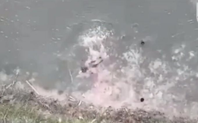 Окупанти відпрацьовують стрибки у воду під керівництвом вправних тренерів з лав ЗСУ. ВIДЕО Окупанти-відпрацьовують-стрибки-у-воду-під-керівництвом-вправних-тренерів-з-лав-ЗСУ.-ВiДЕО