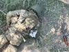 Воїни 81 ОАеМБр ліквідували окупанта. ВIДЕО Воїни-81-ОАеМБр-ліквідували-окупанта.-ВiДЕО
