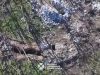 Прикордонники знищили близько десятка позицій окупантів. ВIДЕО Прикордонники-знищили-близько-десятка-позицій-окупантів.-ВiДЕО