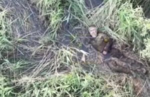 Російський загарбник зник після прямого влучання боєприпасу. ВIДЕО Російський-загарбник-зник-після-прямого-влучання-боєприпасу.-ВiДЕО