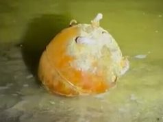 На узбережжі Одещини знищено морську міну, – ВМС України. ВIДЕО На-узбережжі-Одещини-знищено-морську-міну,-–-ВМС-України.-ВiДЕО