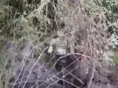 Бійці 123-ї ОБТрО зіпсували рибалку окупанту на лівобережжі Херсонщини. ВIДЕО Бійці-123-ї-ОБТрО-зіпсували-рибалку-окупанту-на-лівобережжі-Херсонщини.-ВiДЕО