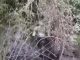 Бійці 123-ї ОБТрО зіпсували рибалку окупанту на лівобережжі Херсонщини. ВIДЕО Бійці-123-ї-ОБТрО-зіпсували-рибалку-окупанту-на-лівобережжі-Херсонщини.-ВiДЕО