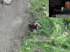 Окупант застрелився з автомата на полі бою. ВIДЕО Окупант-застрелився-з-автомата-на-полі-бою.-ВiДЕО