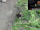 Окупант застрелився з автомата на полі бою. ВIДЕО Окупант-застрелився-з-автомата-на-полі-бою.-ВiДЕО