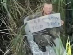 Окупант сидить у кущах з плакатом “UKR TOP. Хочу в плен”. ВIДЕО Окупант-сидить-у-кущах-з-плакатом-“ukr-top-Хочу-в-плен”.-ВiДЕО