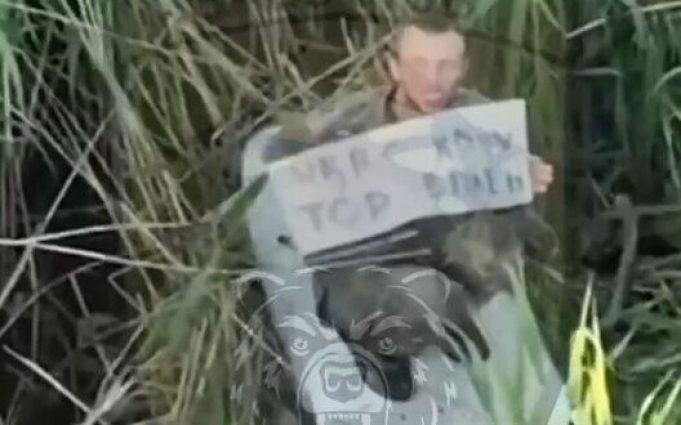 Окупант сидить у кущах з плакатом “UKR TOP. Хочу в плен”. ВIДЕО Окупант-сидить-у-кущах-з-плакатом-“ukr-top-Хочу-в-плен”.-ВiДЕО