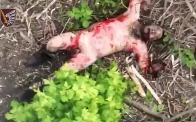 Голий окупант конає в районі Новомихайлівки від атаки наших десантників. ВIДЕО 18+ Голий-окупант-конає-в-районі-Новомихайлівки-від-атаки-наших-десантників.-ВiДЕО-18+