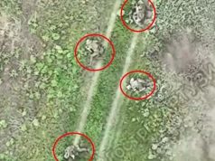 Нацгвардійці ліквідували 20 окупантів у Харківській області. ВIДЕО Нацгвардійці-ліквідували-20-окупантів-у-Харківській-області.-ВiДЕО