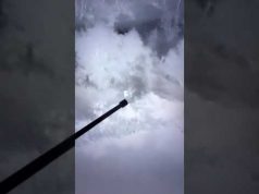 Як Ґадя на острів??Нестригу ходила. І знов 7 хробаків припаркувалось. (ВІДЕО) Як Ґадя на острів??Нестригу ходила. І знов 7 хробаків припаркувалось. (ВІДЕО)