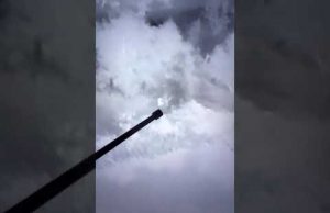 Як Ґадя на острів??Нестригу ходила. І знов 7 хробаків припаркувалось. (ВІДЕО) Як Ґадя на острів??Нестригу ходила. І знов 7 хробаків припаркувалось. (ВІДЕО)