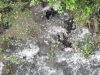 Бійці 47 ОМБр ліквідували групу російських штурмовиків. ВIДЕО Бійці-47-ОМБр-ліквідували-групу-російських-штурмовиків.-ВiДЕО