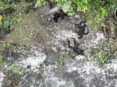 Бійці 47 ОМБр ліквідували групу російських штурмовиків. ВIДЕО Бійці-47-ОМБр-ліквідували-групу-російських-штурмовиків.-ВiДЕО