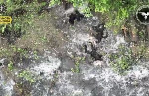 Бійці 47 ОМБр ліквідували групу російських штурмовиків. ВIДЕО Бійці-47-ОМБр-ліквідували-групу-російських-штурмовиків.-ВiДЕО