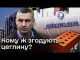 ? Терпіння ЛОПНУЛО! У Києві люди вклалися в забудову – а квартир не отримали! (ВІДЕО) ? Терпіння ЛОПНУЛО! У Києві люди вклалися в забудову – а квартир не отримали! (ВІДЕО)