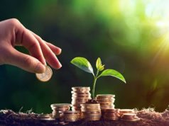 Волиняни сплатили до бюджетів громад понад 185 мільйонів гривень плати за землю Волиняни-сплатили-до-бюджетів-громад-понад-185-мільйонів-гривень-плати-за-землю