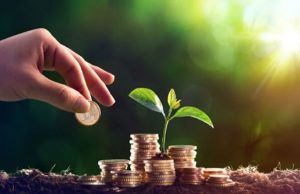 Волиняни сплатили до бюджетів громад понад 185 мільйонів гривень плати за землю Волиняни-сплатили-до-бюджетів-громад-понад-185-мільйонів-гривень-плати-за-землю