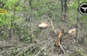 Українські захисники виявили та ліквідували окупанта, який ховався за деревами. ВIДЕО Українські-захисники-виявили-та-ліквідували-окупанта,-який-ховався-за-деревами.-ВiДЕО