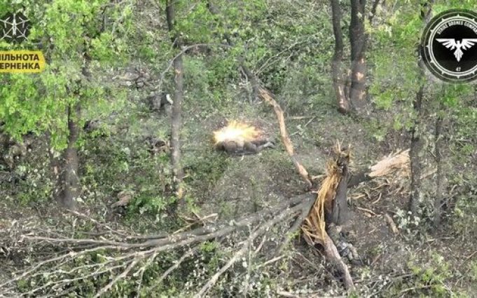 Українські захисники виявили та ліквідували окупанта, який ховався за деревами. ВIДЕО Українські-захисники-виявили-та-ліквідували-окупанта,-який-ховався-за-деревами.-ВiДЕО