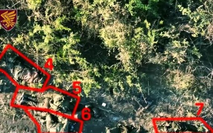 Сімох окупантів ліквідували житомирські десантники влучними скидами із дронів. ВIДЕО Сімох-окупантів-ліквідували-житомирські-десантники-влучними-скидами-із-дронів.-ВiДЕО