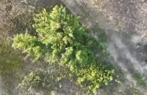 Бійці 63-ї ОМБр скидом з дрона зищують окупанта, що сховався у “зеленці”. ВIДЕО Бійці-63-ї-ОМБр-скидом-з-дрона-зищують-окупанта,-що-сховався-у-“зеленці”.-ВiДЕО