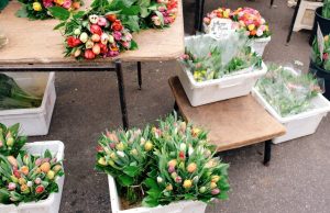 Як обрати квіти людям з алергією Як обрати квіти людям з алергією