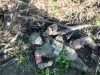 Бійці 38 ОБрМП ліквідували групу десантників у Кринках на Херсонщині. ВIДЕО Бійці-38-ОБрМП-ліквідували-групу-десантників-у-Кринках-на-Херсонщині.-ВiДЕО