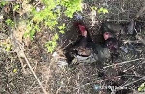 Окупанту відірвало руку від влучного скиду боєприпасу. ВIДЕО 18+ Окупанту-відірвало-руку-від-влучного-скиду-боєприпасу.-ВiДЕО-18+